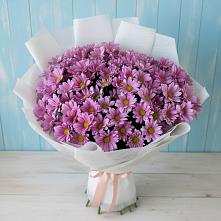 Букет цветов из:  Хризантемы в Анапе
