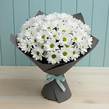 Букет цветов из:  Хризантемы в Анапе