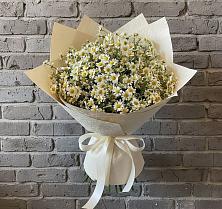 Букет цветов из:  Ромашки #REPLACE_PRED# Анапе