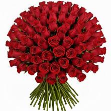 Букет Красные розы Чери Лав в Анапе